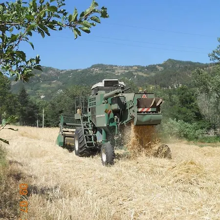 Farm stay Pedrosola Brisighella